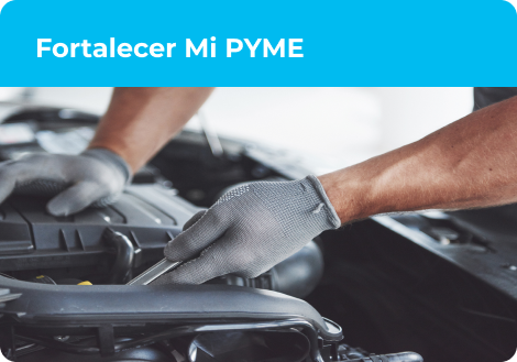 Fortalecer Mi PYME